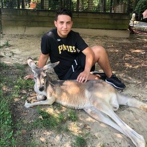 Meet your Posher, Ricardo